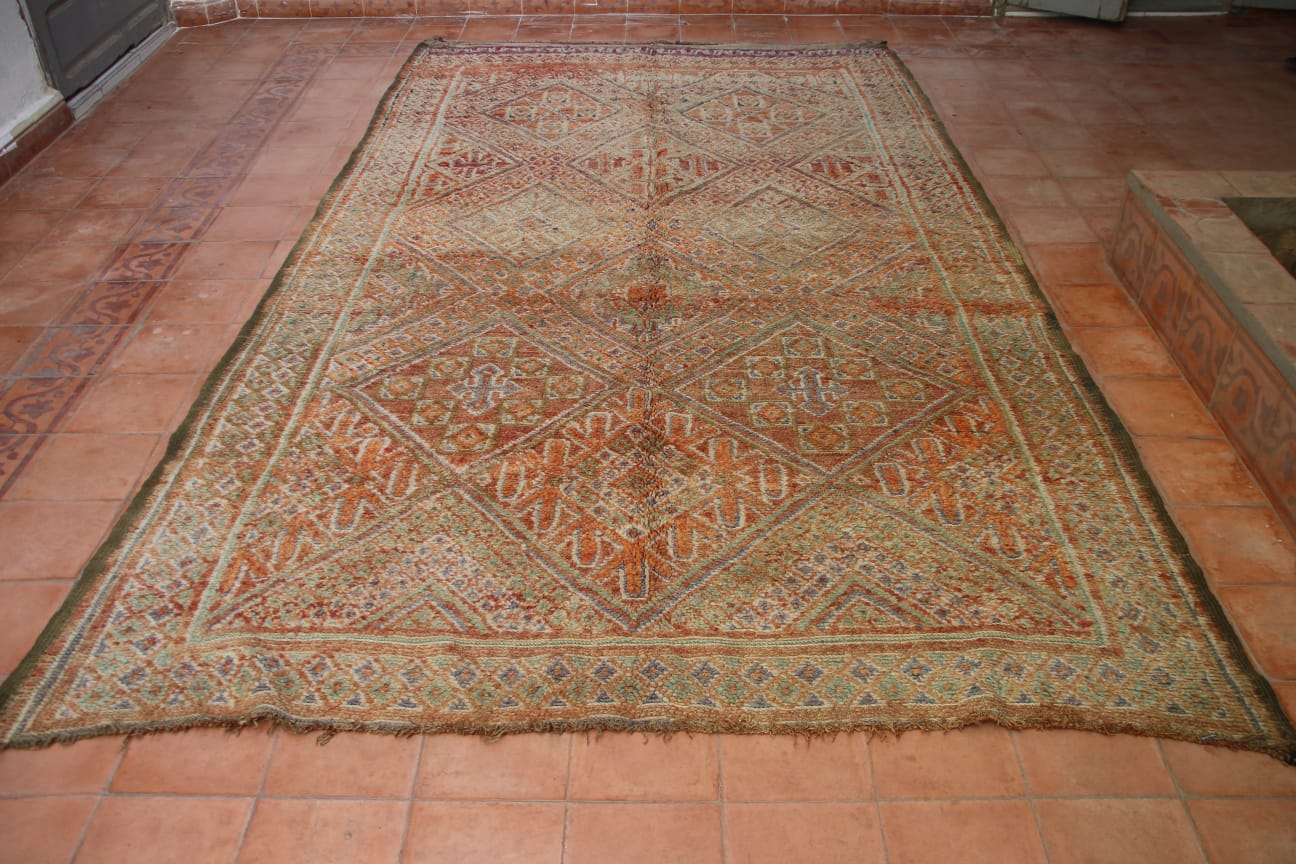 Golden Oasis Beni Mguild Rug